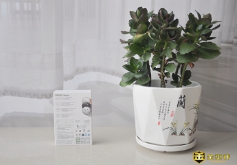 【金测评】雷柏M600:扁平设计的办公金属小战士