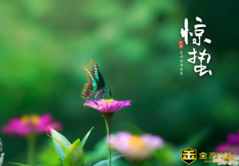 惊蛰读音是什么?惊蛰是什么意思?惊蛰吃什么食物?