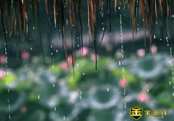 梅雨季节是什么时候?梅雨季节注意事项?梅雨季节什么时候结束?