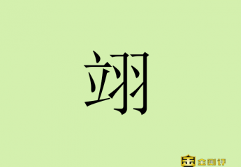 【金测评】翊字怎么读?翊翊如生怎么读?翊字取名男孩有寓意?