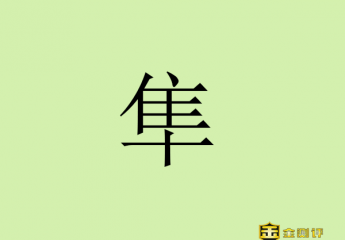 【金测评】隼怎么读读音?水谷隼怎么读?游隼是什么?