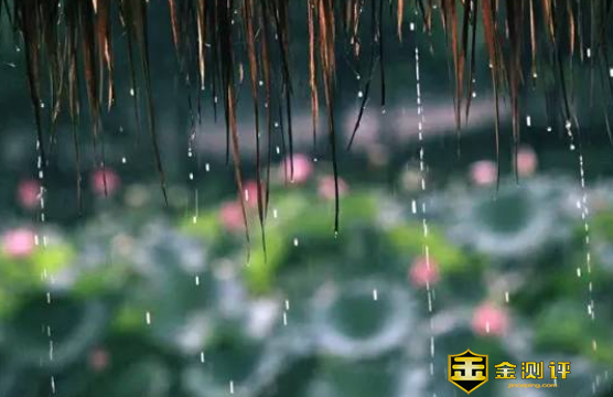 梅雨季节是什么时候？梅雨季节注意事项？梅雨季节什么时候结束？