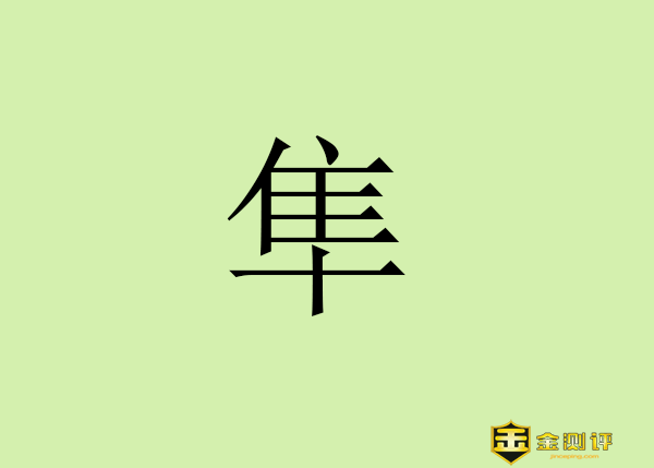 【金测评】隼怎么读读音?水谷隼怎么读?游隼是什么?