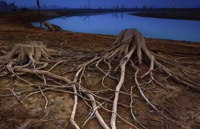 枯竭的反义词是什么?枯竭的近义词又是什么?