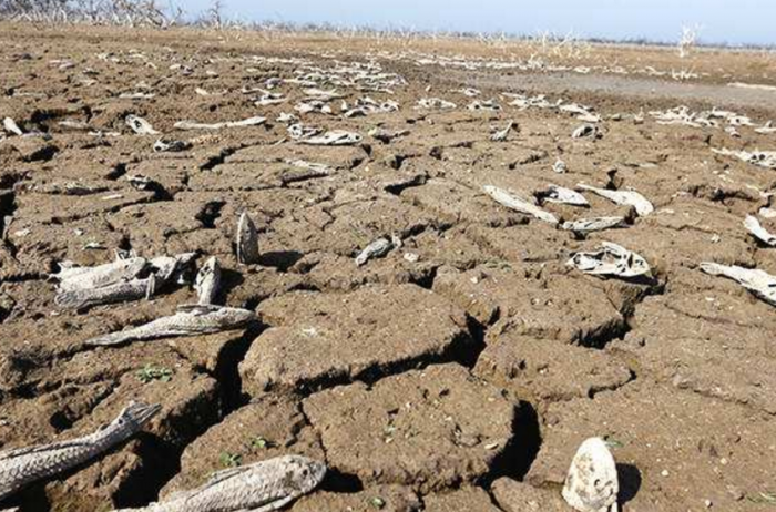 枯竭的反义词是什么?枯竭的近义词又是什么?