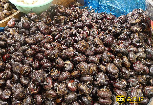 荸荠怎么读？荸荠怎么去皮？荸荠的营养价值有哪些？