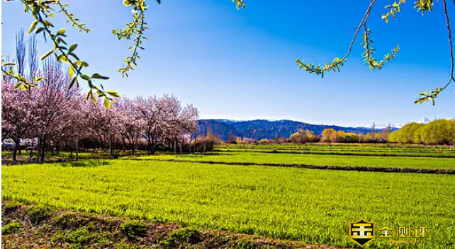 关于春天的古诗有哪些?关于描写春天的古诗有哪些?