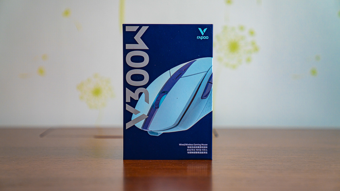 V300W-1.jpg